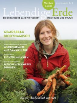 Gemüsebau, biodynamisch