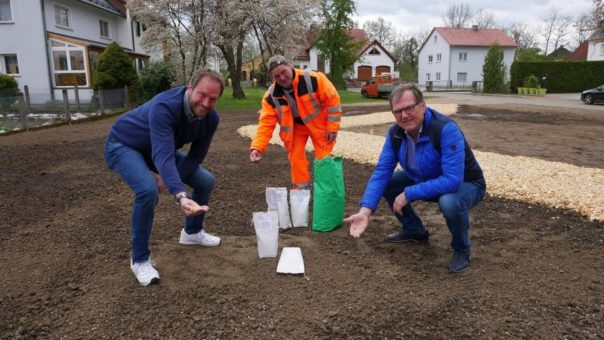 Blühwiesen für die Region: Auftakt in Ezelsdorf