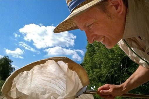 Es summt wieder: Nützlingsfreundliche Pflanzen bei toom