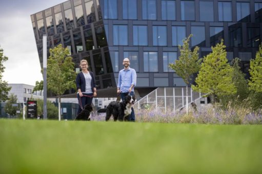 FUNKY Dogs: Bürohunde bereichern ab August den Büroalltag bei FUNKE