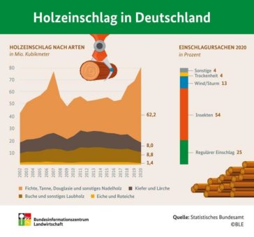 BZL Auf einen Blick: Holzeinschlag in Deutschland