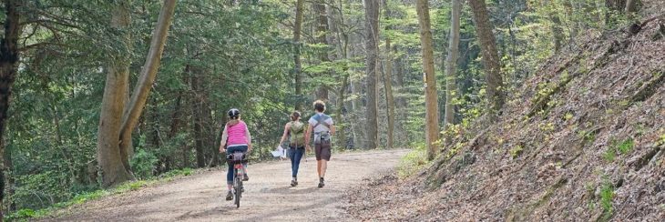 Was schätzen Sie am Wald?