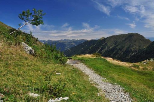 Die Wildnis ruft am Lago Maggiore