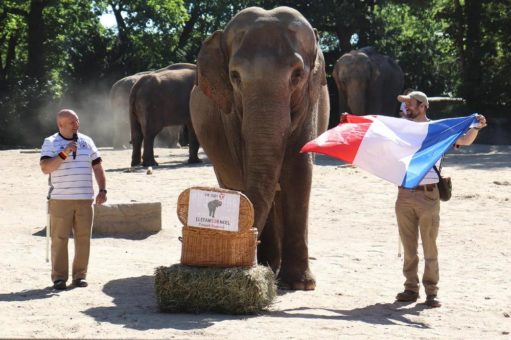 Yashoda ist sicher: Frankreich gewinnt!