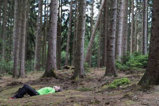 Den Wald mit allen Sinnen entdecken