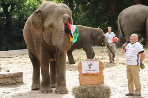 Hagenbeck-Orakel Yashoda: Macht sie das Triple voll?