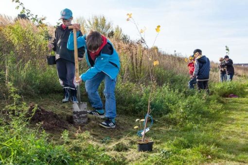 150 Setzlinge für „Ein Baum für jedes Kind“