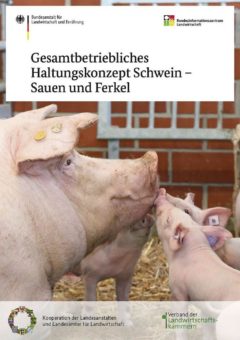 Neue BZL-Broschüre gibt Handlungsempfehlungen für Schweinehaltung der Zukunft