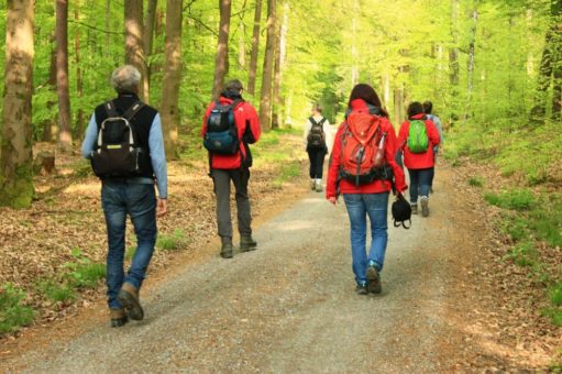 Die Natur als Coaching-Raum für Teams und Führungskräfte