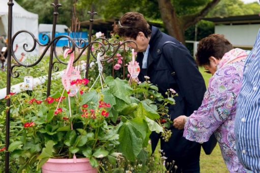 Das Genuss und Gartenfest auf Schloss Braunshardt