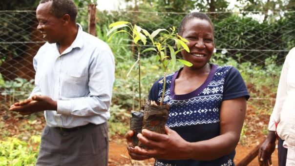 Treedom – jeder Setzling hilft der Umwelt und den Menschen