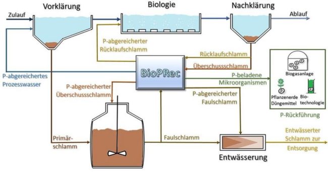 Bundesinnovationsnetzwerk bietet Kläranlagen kostenfreie Vorplanung zur biologischen Phosphorrückgewinnung & Bestimmung wirtschaftlicher Prozessströme