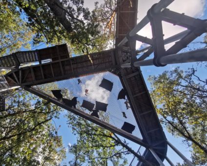 Das Warten hat ein Ende – BAUM & ZEIT in Beelitz-Heilstätten öffnet wieder