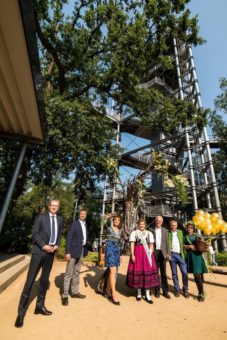 Fünf Jahre BAUM & ZEIT – Baumkronenpfad in Beelitz-Heilstätten