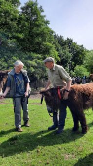 Poitoueselfohlen „Kacie“ verlässt den Tierpark Nordhorn