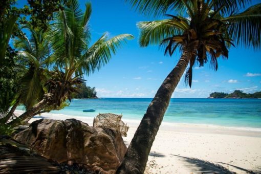 Entspannte Tage im Inselparadies: Luxus-Urlaub auf den Seychellen auch aktuell hoch beliebt