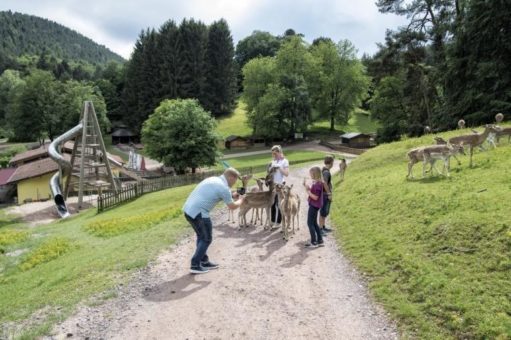 Kleine und große Handwerkerinnen und Handwerker gesucht: Vater-Kind und Mutter-Kind-Aktionen im Wild- und Wanderpark