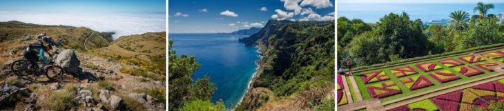 Goldener Herbst auf Madeira