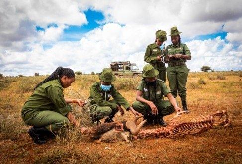 Rangerinnen-Einheit Team Lioness in Kenia erhält Verstärkung