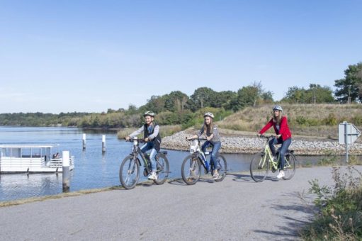 Alpakawanderungen und Quadtouren: Herbstferienerlebnisse im Lausitzer Seenland