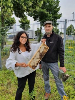 Ein Herz für Bienen