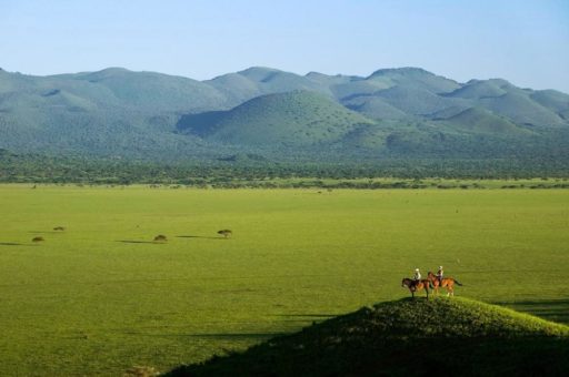 Safari zu Pferd mit Great Plains