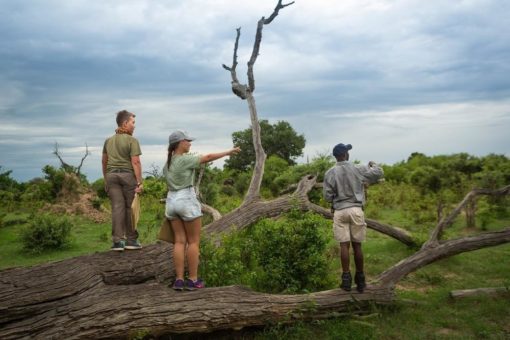 Great Plains: Familiensafari mit Lerneffekt in der afrikanischen Wildnis