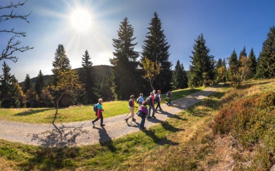 Herzlich Willkommen zur Herbst-Wanderwoche im Erzgebirge