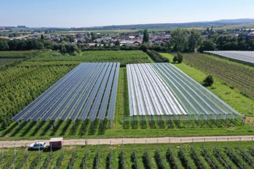 Erste Agri-PV-Anlage für CO2-neutralen Obstanbau im Test