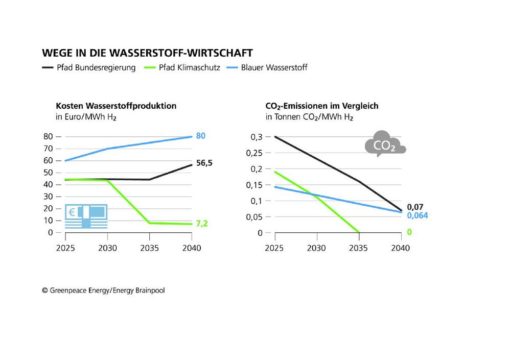 Nur Grüner Wasserstoff ist klimafreundlich und kostengünstig