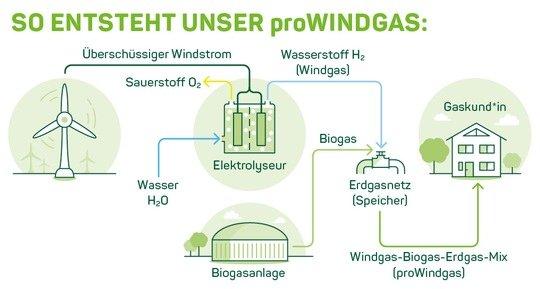 Neue Ökogastarife ab 2021: Greenpeace Energy will ökologisch hochwertiges Biogas voranbringen