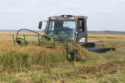 „Biogas aus Mooren hat enorme Klimaschutzwirkung“