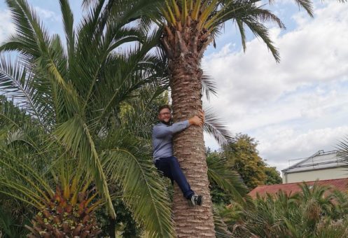 „Auf die Palme gebracht – Pyrmont persönlich“