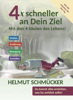 Eine Buch-Neuvorstellung des Romeon-Verlages: 4 x schneller an Dein Ziel – Mit den 4 Säulen des Lebens!