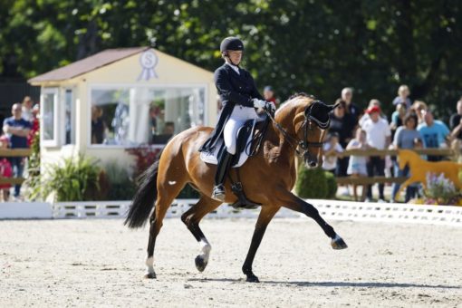 Nicole Wego-Engelmeyer und Citation gewinnen Qualifikation zum NÜRNBERGER BURG-POKAL in Ludwigsburg