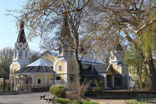 Auge in Auge mit Faultieren, Affen und Vögeln – Dschungelerlebniswelt „Arnulf-und-Elizabeth-Reichert-Haus“ im Kölner Zoo eröffnet