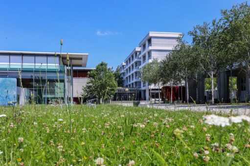 Neuer Masterstudiengang an der Business School der Hochschule Pforzheim