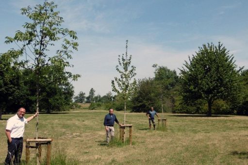 Mehr als 130 Bäume neu im Freizeitzentrum Xanten gepflanzt