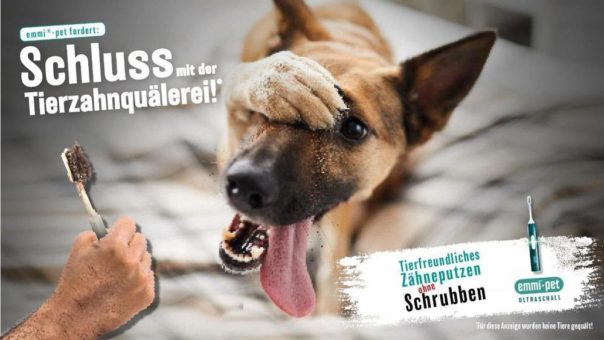 Emmi®-pet appelliert an Hundebesitzer: „Schluss mit der Tierzahnquälerei