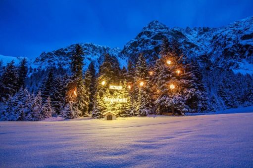 Exklusiv: Wiener Sängerknaben im Adventdorf Plangeross