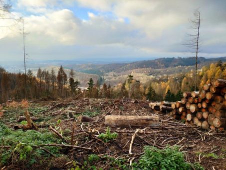 Harzklub fordert gemeinsames Handeln bei der Instandsetzung der Wanderwege