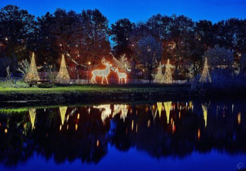 Weihnachtsmarkt im Tierpark Nordhorn findet statt