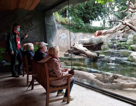 Hagenbeck-Besuch: geführt noch spannender