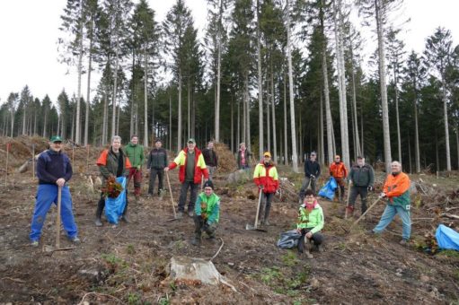 „Der Harz (-er Wald) geht nicht ohne uns“ – Wer macht mit?