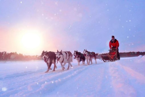 Ice meets fire: Wintergeschichten  mit Kamin und Lagerfeuer