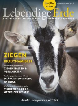 Ziegen, biodynamisch