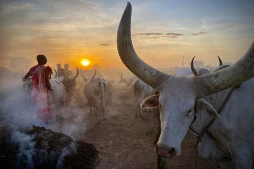 2. Platz beim PR-Bild Award mit Foto der Mundari-Hirten im Südsudan