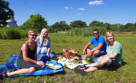 Gartenträume-Picknicktag:  Parks in Sachsen-Anhalt laden am 25. Juli zum Schlemmen im Grünen ein