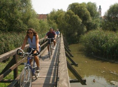 Erholsamer als Strandurlaub „von der Stange“: Entspannt durch die „bayerische Camargue“ radeln