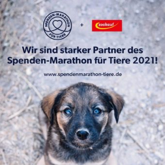 zookauf erneut offizieller Partner des Spenden-Marathon für Tiere